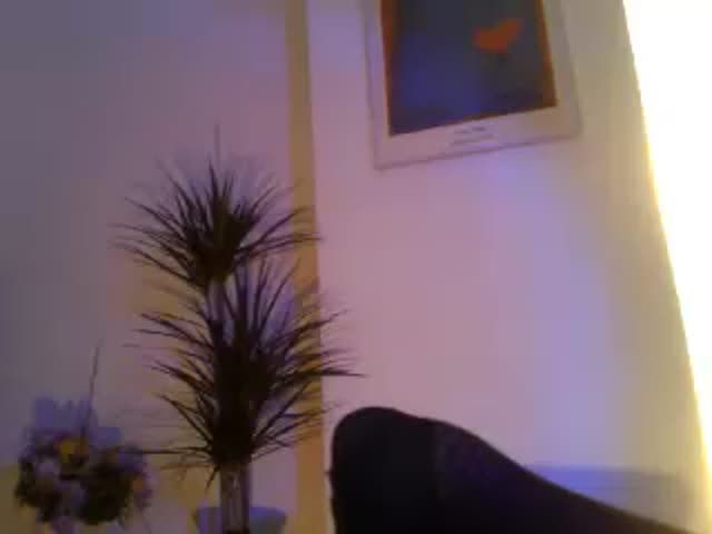 babarre042 chaturbate